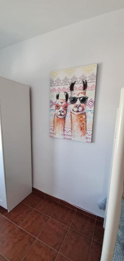 De Pita Y Mar Villa Сан Хосе Екстериор снимка